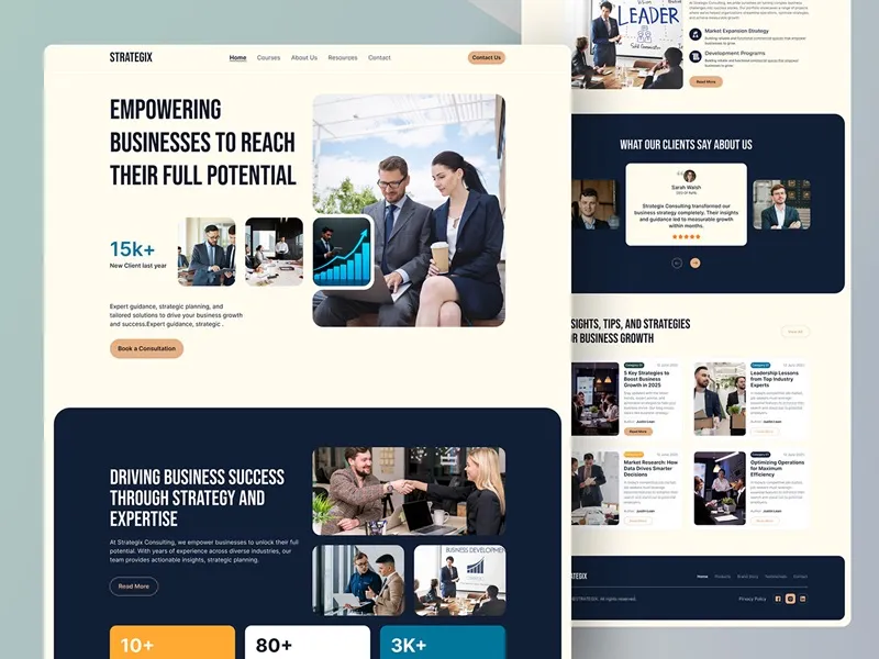 Business consulting Website