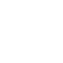 custom web dev