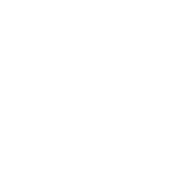 insurance
