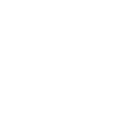 saas