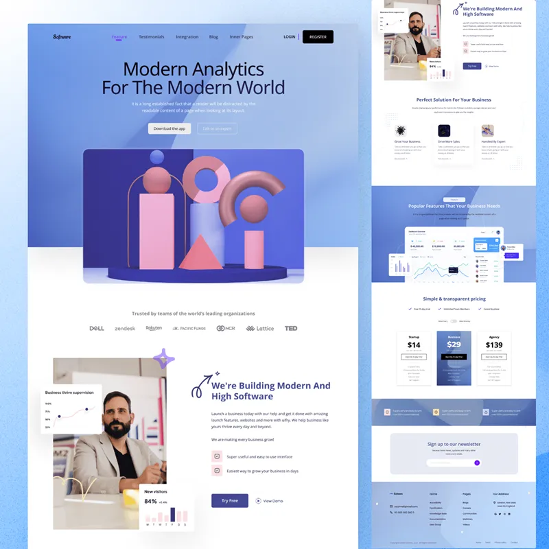 Software House Websites Design
